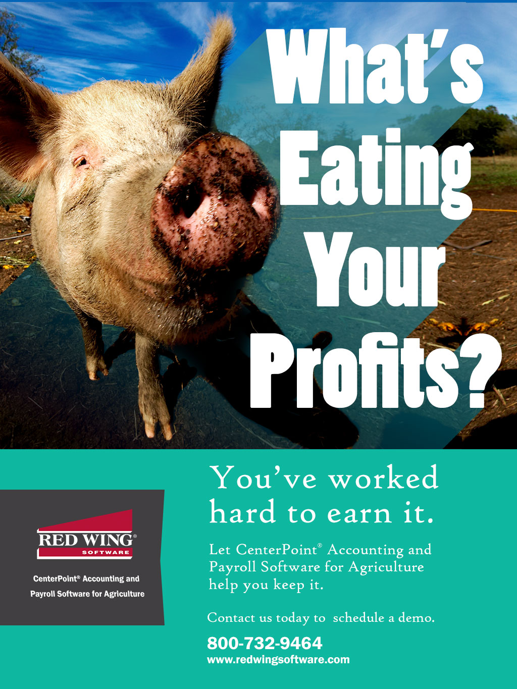 What's Eating Your Profits?